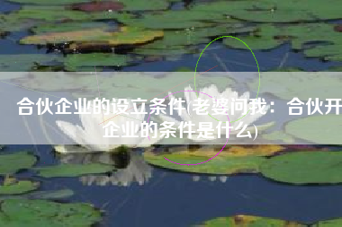 合伙企业的设立条件(老婆问我：合伙开企业的条件是什么)