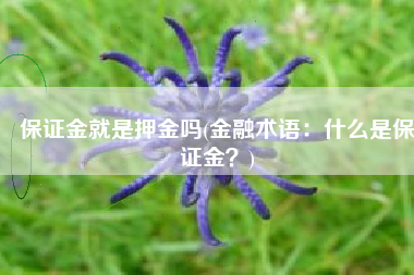 保证金就是押金吗(金融术语：什么是保证金？)