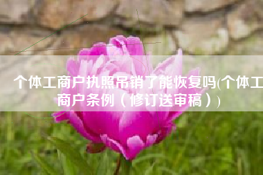 个体工商户执照吊销了能恢复吗(个体工商户条例（修订送审稿）)