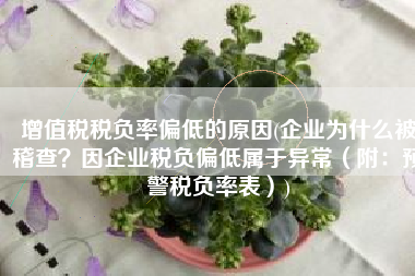 增值税税负率偏低的原因(企业为什么被稽查？因企业税负偏低属于异常（附：预警税负率表）)
