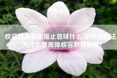 收容教育制度废止意味什么(罗翔说刑法：为什么要废除收容教育制度)