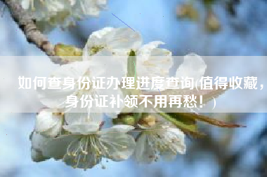 如何查身份证办理进度查询(值得收藏，身份证补领不用再愁！)