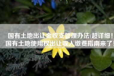 国有土地出让金收支管理办法(超详细！国有土地使用权出让收入缴费指南来了！)