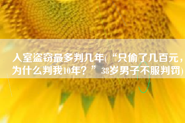 入室盗窃最多判几年(“只偷了几百元，为什么判我10年？”38岁男子不服判罚)