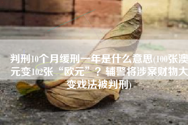 判刑10个月缓刑一年是什么意思(100张澳元变102张“欧元”？辅警将涉案财物大变戏法被判刑)