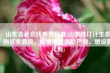 山东省社会抚养费标准(山东修订计生条例征求意见，拟增加配偶陪产假、增设育儿假)