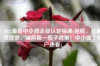 2022最新中小微企业认定标准(退税、社保费缓缴、减房租一揽子政策！中小微个体户速看)