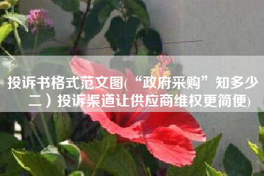投诉书格式范文图(“政府采购”知多少（二）投诉渠道让供应商维权更简便)