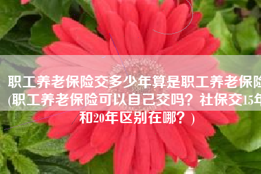 职工养老保险交多少年算是职工养老保险(职工养老保险可以自己交吗？社保交15年和20年区别在哪？)