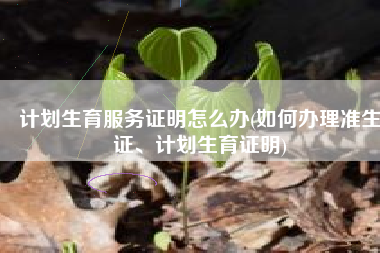 计划生育服务证明怎么办(如何办理准生证、计划生育证明)