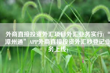 外商直接投资外汇项目外汇业务实行(“漳州通”APP外商直接投资外汇秒登记业务上线)