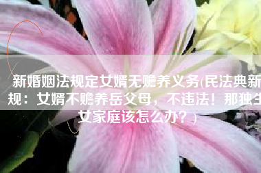 新婚姻法规定女婿无赡养义务(民法典新规：女婿不赡养岳父母，不违法！那独生女家庭该怎么办？)