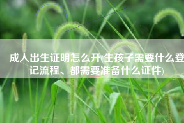 成人出生证明怎么开(生孩子需要什么登记流程、都需要准备什么证件)