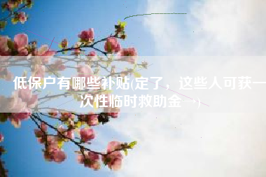 低保户有哪些补贴(定了，这些人可获一次性临时救助金→)