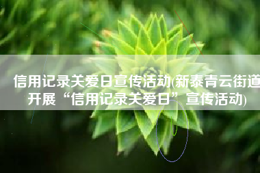 信用记录关爱日宣传活动(新泰青云街道开展“信用记录关爱日”宣传活动)