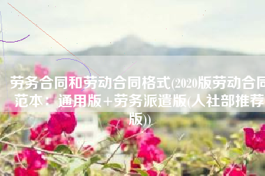 劳务合同和劳动合同格式(2020版劳动合同范本：通用版+劳务派遣版(人社部推荐版))