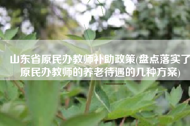 山东省原民办教师补助政策(盘点落实了原民办教师的养老待遇的几种方案)