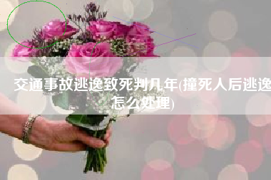 交通事故逃逸致死判几年(撞死人后逃逸怎么处理)
