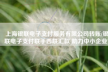 上海银联电子支付服务有限公司转账(银联电子支付联手西联汇款 助力中小企业)