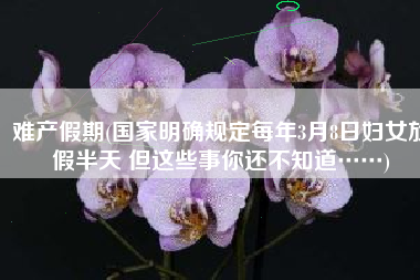 难产假期(国家明确规定每年3月8日妇女放假半天 但这些事你还不知道……)