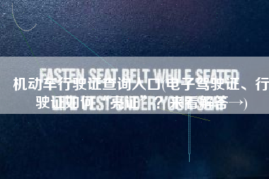 机动车行驶证查询入口(电子驾驶证、行驶证如何“亮证”？来看解答→)