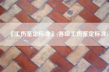 《工伤鉴定标准》(各级工伤鉴定标准)