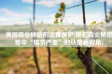 美国商业秘密的法律保护(侵犯商业秘密罪中“情节严重”的认定新视角)