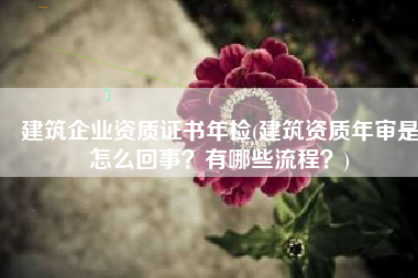 建筑企业资质证书年检(建筑资质年审是怎么回事？有哪些流程？)