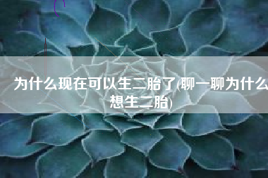 为什么现在可以生二胎了(聊一聊为什么想生二胎)