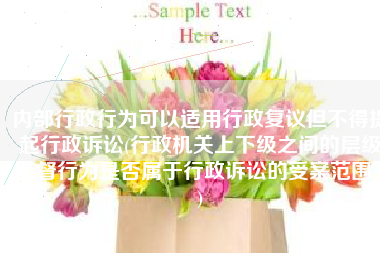 内部行政行为可以适用行政复议但不得提起行政诉讼(行政机关上下级之间的层级监督行为是否属于行政诉讼的受案范围？)