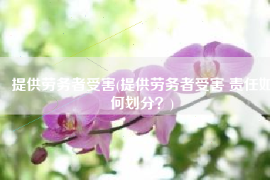 提供劳务者受害(提供劳务者受害 责任如何划分？)