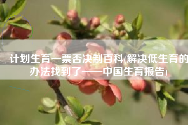 计划生育一票否决制百科(解决低生育的办法找到了——中国生育报告)