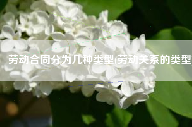 劳动合同分为几种类型(劳动关系的类型)