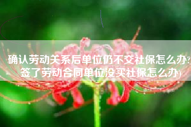 确认劳动关系后单位仍不交社保怎么办?(签了劳动合同单位没买社保怎么办)