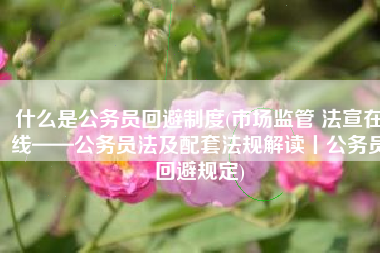 什么是公务员回避制度(市场监管 法宣在线——公务员法及配套法规解读丨公务员回避规定)