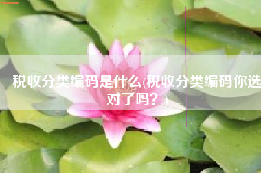 税收分类编码是什么(税收分类编码你选对了吗？)