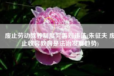 废止劳动教养制度完善对违法(朱征夫 废止收容教育是法治发展趋势)