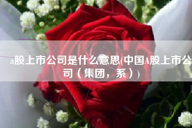 a股上市公司是什么意思(中国A股上市公司（集团，系）)