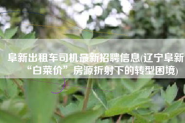 阜新出租车司机最新招聘信息(辽宁阜新：“白菜价”房源折射下的转型困境)