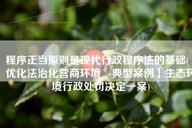程序正当原则是现代行政程序法的基础(【优化法治化营商环境•典型案例】生态环境行政处罚决定一案)