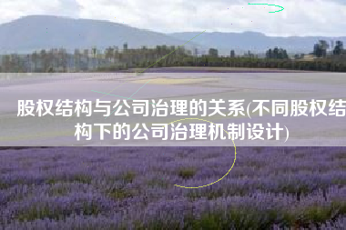 股权结构与公司治理的关系(不同股权结构下的公司治理机制设计)