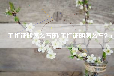 工作证明怎么写的(工作证明怎么写？)