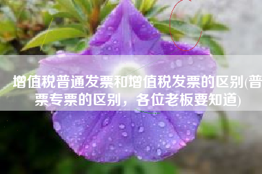 增值税普通发票和增值税发票的区别(普票专票的区别，各位老板要知道)