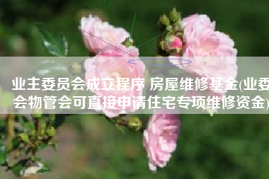 业主委员会成立程序 房屋维修基金(业委会物管会可直接申请住宅专项维修资金)