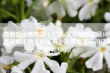 婚姻登记条例第十七条(常见婚姻家庭18问题详解（含《民法典》及婚姻家庭司法解释新规）)