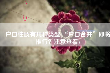 户口性质有几种类型(“户口合并”即将推行？注意查看)