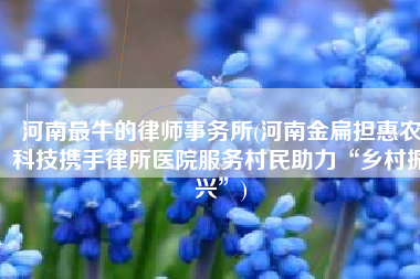 河南最牛的律师事务所(河南金扁担惠农科技携手律所医院服务村民助力“乡村振兴”)