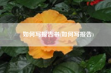 如何写报告书(如何写报告)