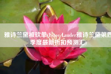 雅诗兰黛被砍单(Estee Lauder雅诗兰黛第四季度最新折扣预测汇)