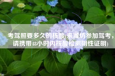 考驾照要多久的核酸(来潍坊参加驾考，请携带48小时内核酸检测阴性证明)